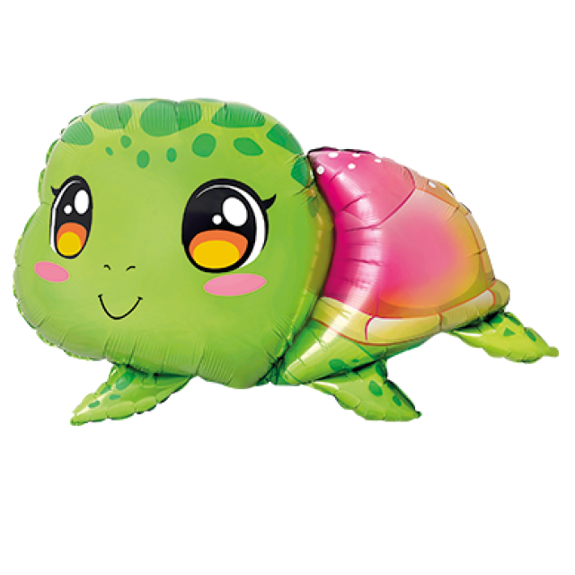 FM Shape Turtle